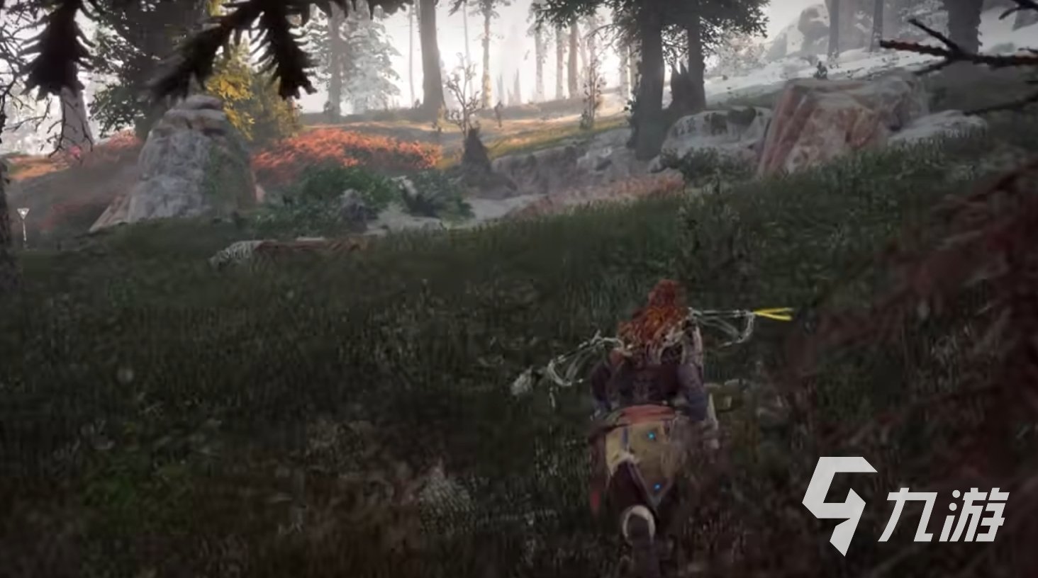 巫师3：狂猎 完整版 截图14